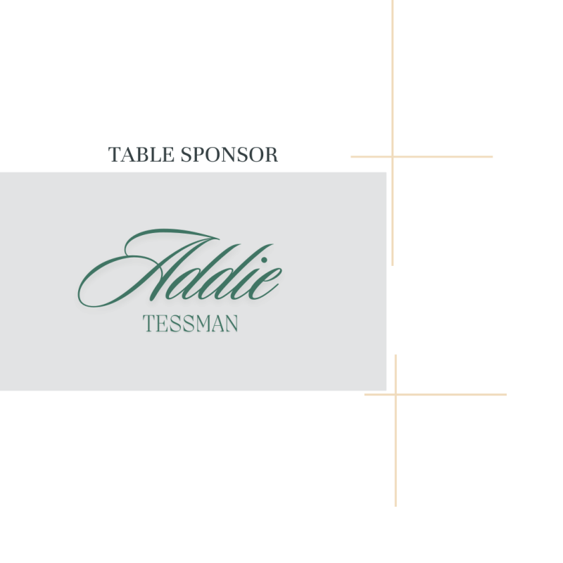 Sponsor logo