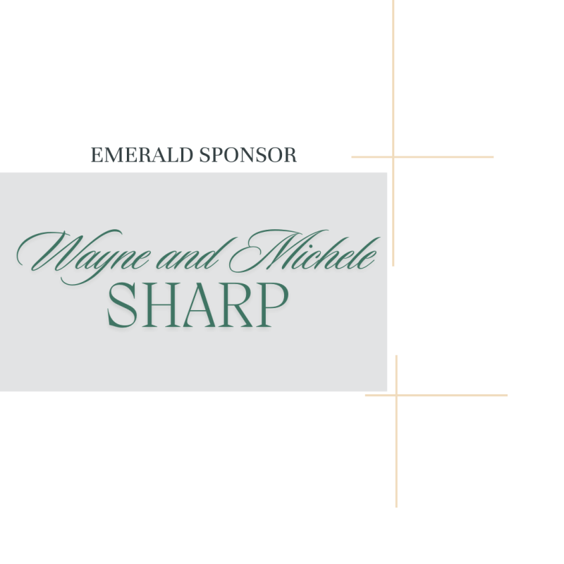 Sponsor logo