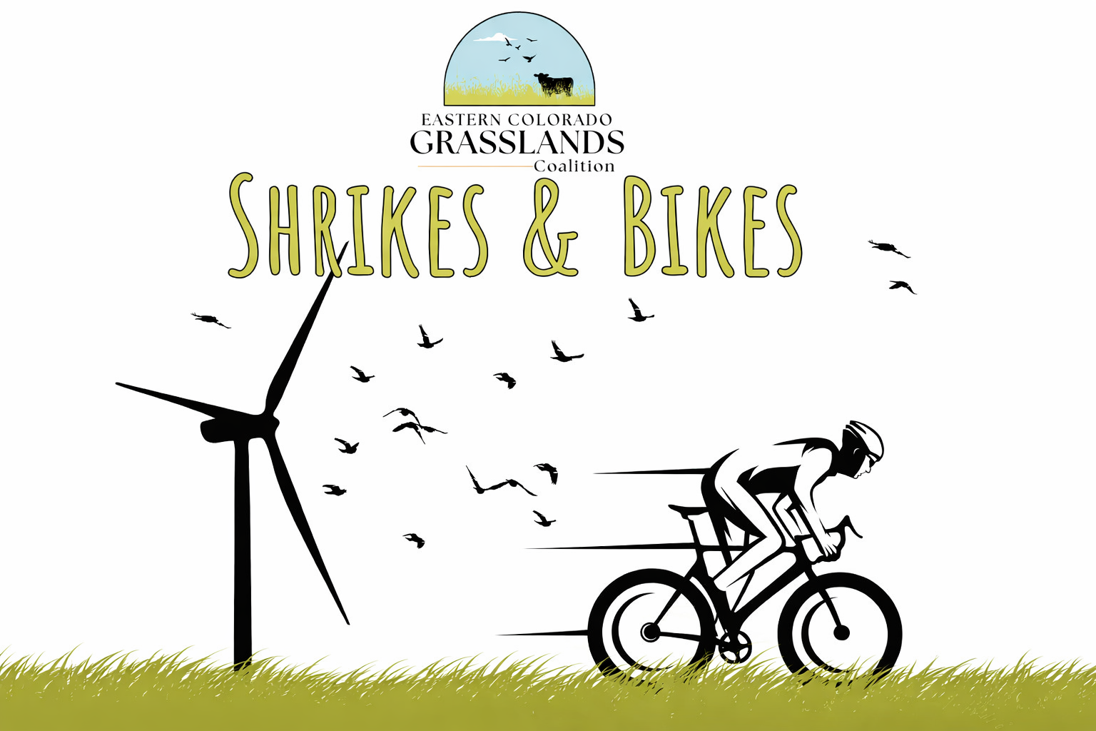 Shrikes and Bikes background