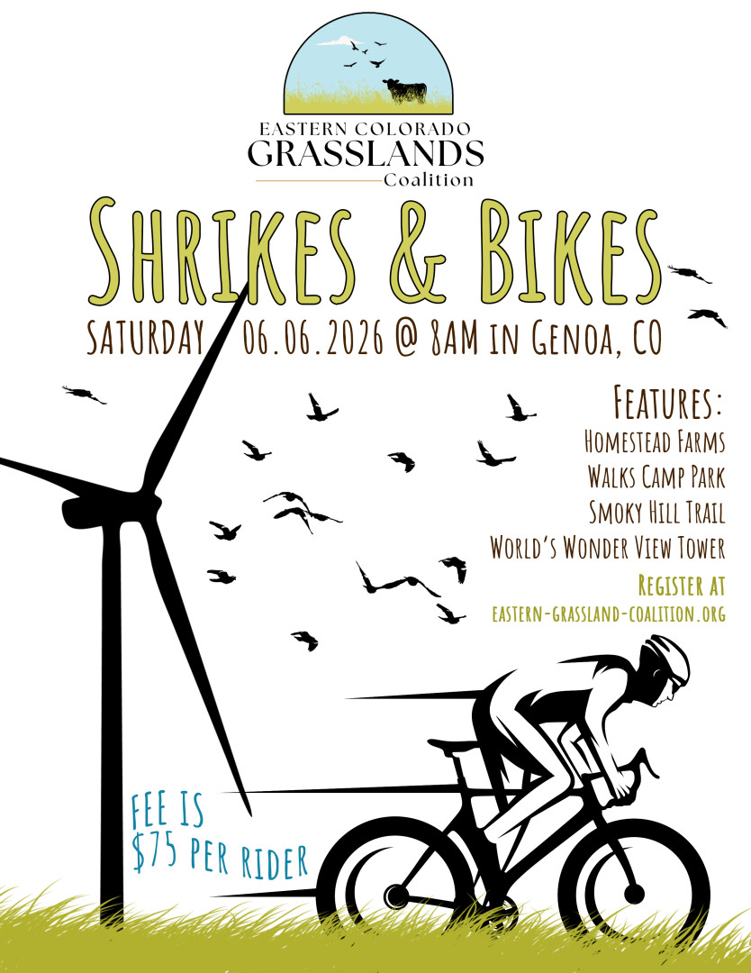 Shrikes and Bikes banner