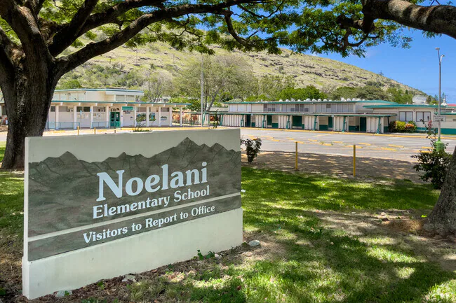 Noelani Elementary PTA background