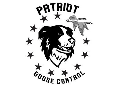 Patriot Goose Patrol