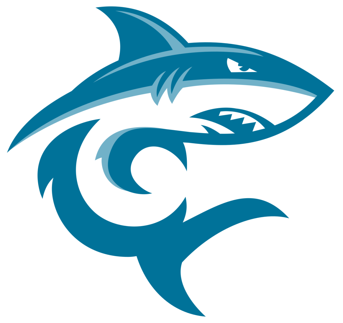 Sharks Hoops Auction background