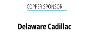Sponsor logo