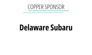Sponsor logo