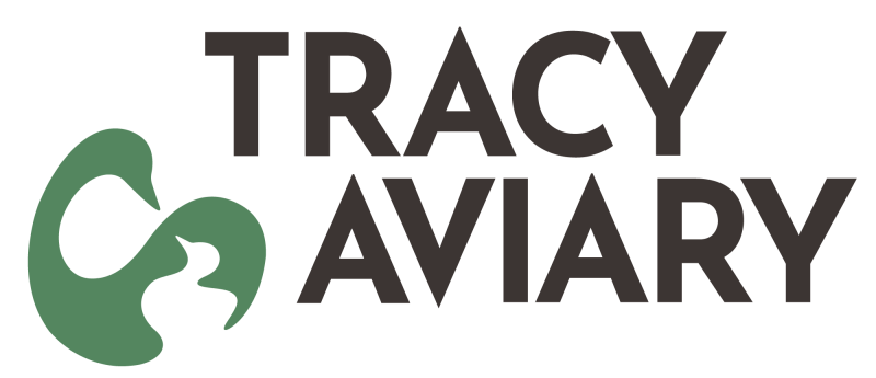 Ready to Hatch 2026 logo