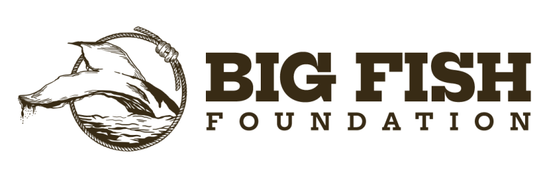 2026 Big Fish Annual Benefit Dinner logo
