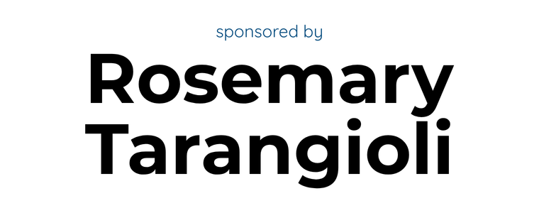 Sponsor logo