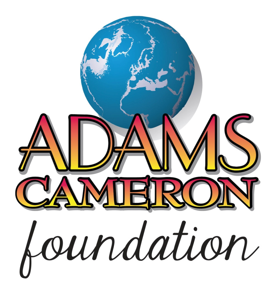 Sponsor logo