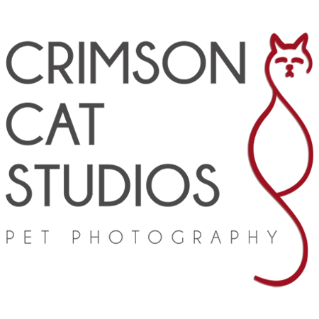 Crimson Cat Studio