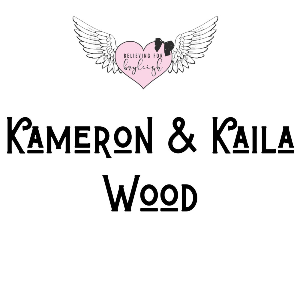 Sponsor logo