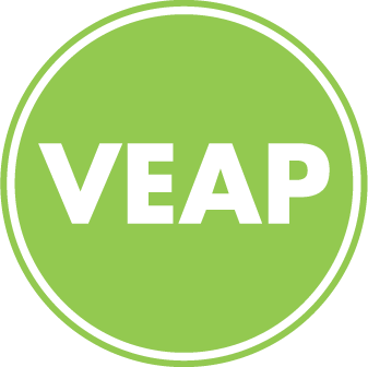 VEAP Gala 2026 logo
