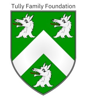 Sponsor logo