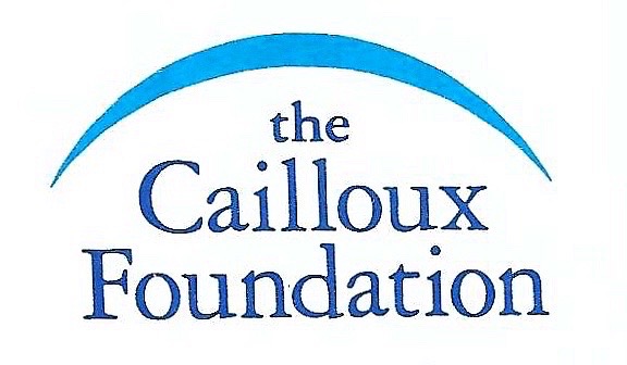 Sponsor logo