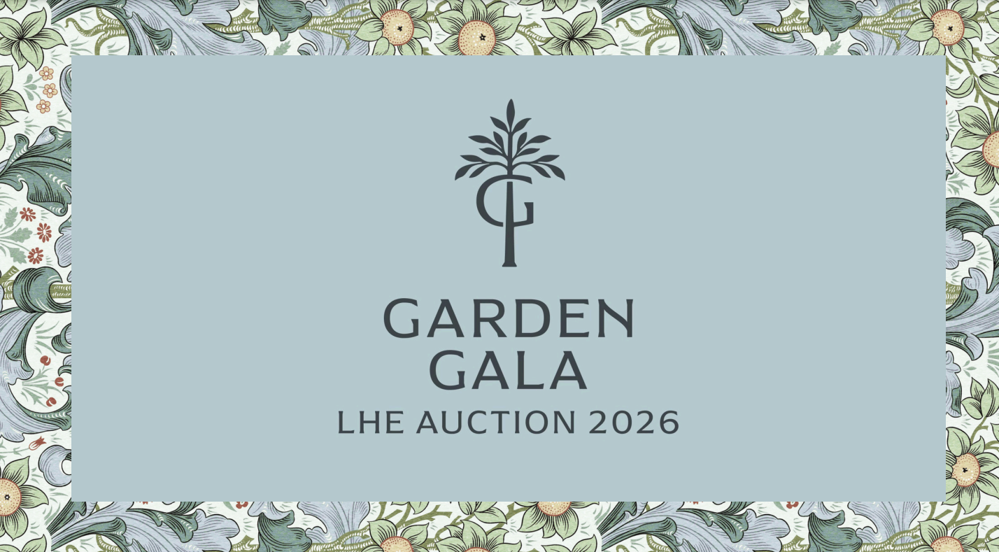 Lake Highlands Elementary Auction background