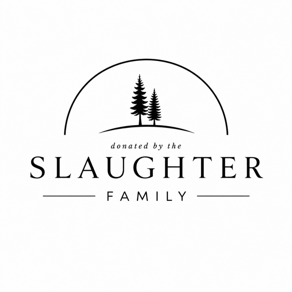 Sponsor logo