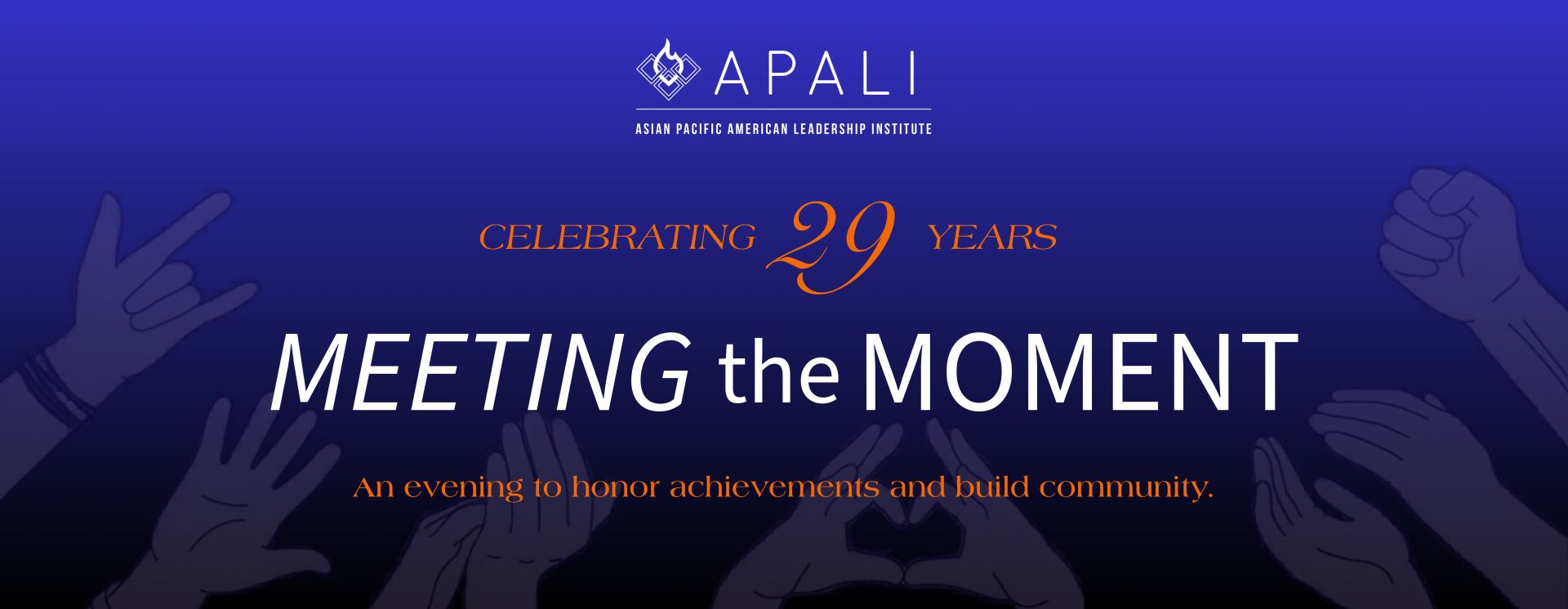 APALI 29th Anniversary Benefit background