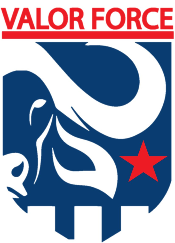 Sponsor logo