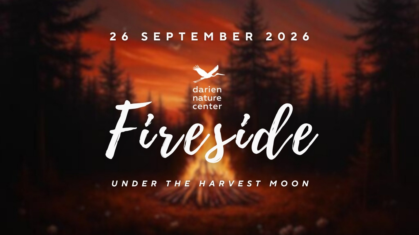 Fireside 2026 background