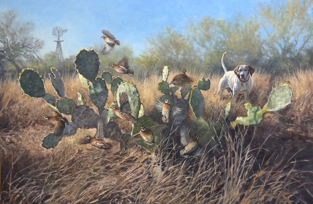 2026 South Texas Quail Coalition background