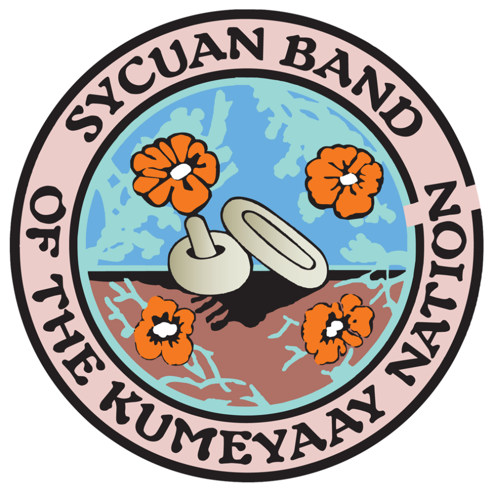 Sponsor logo