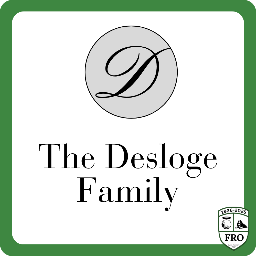 Sponsor logo