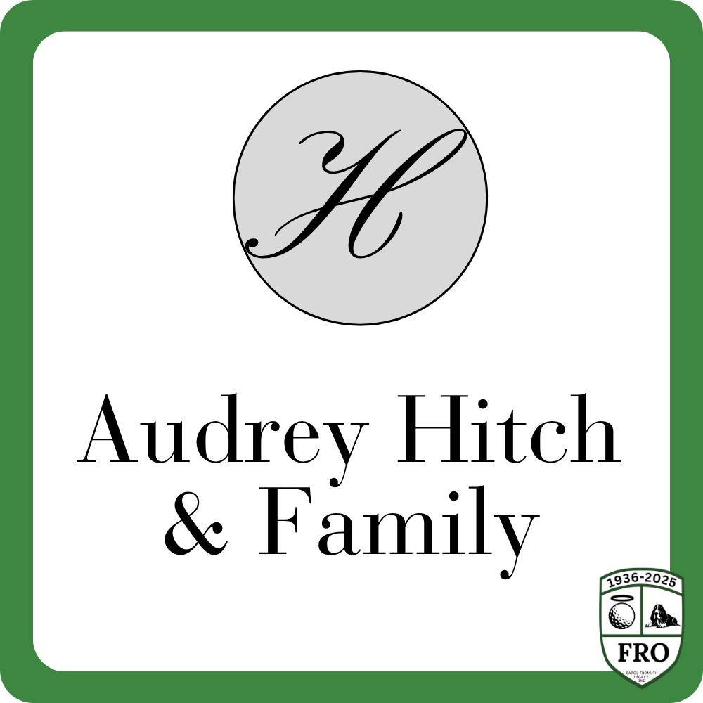 Sponsor logo