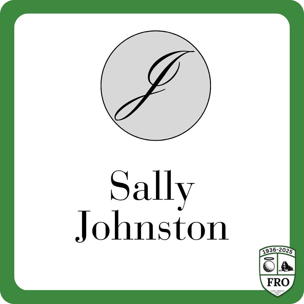 Sponsor logo