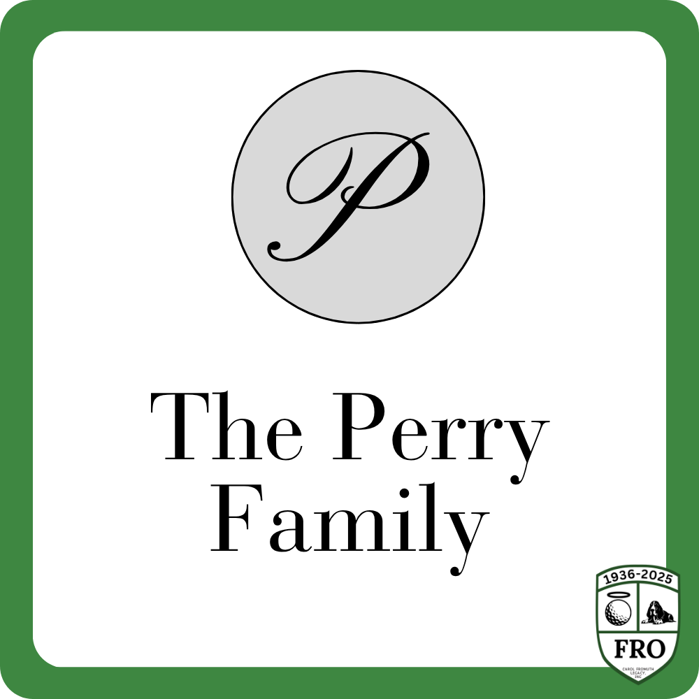 Sponsor logo