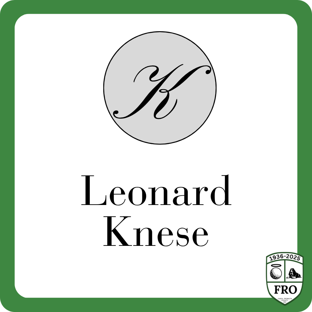 Sponsor logo