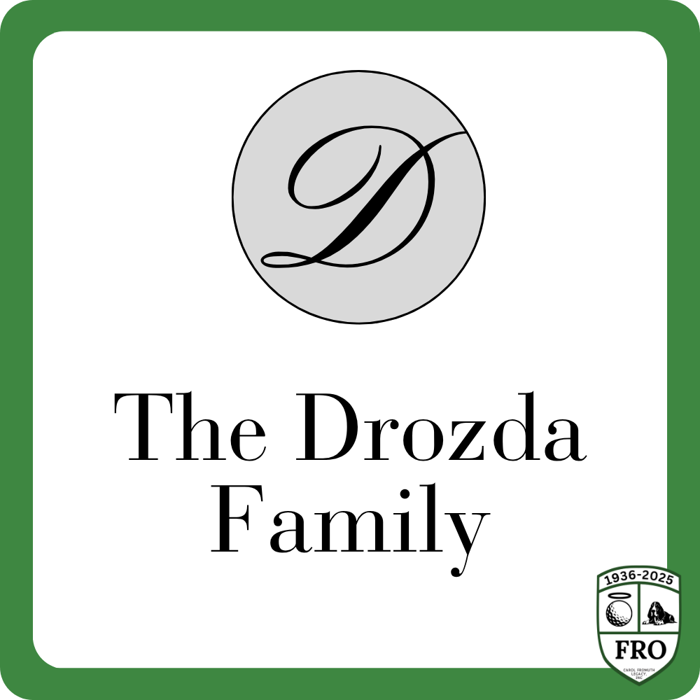 Sponsor logo