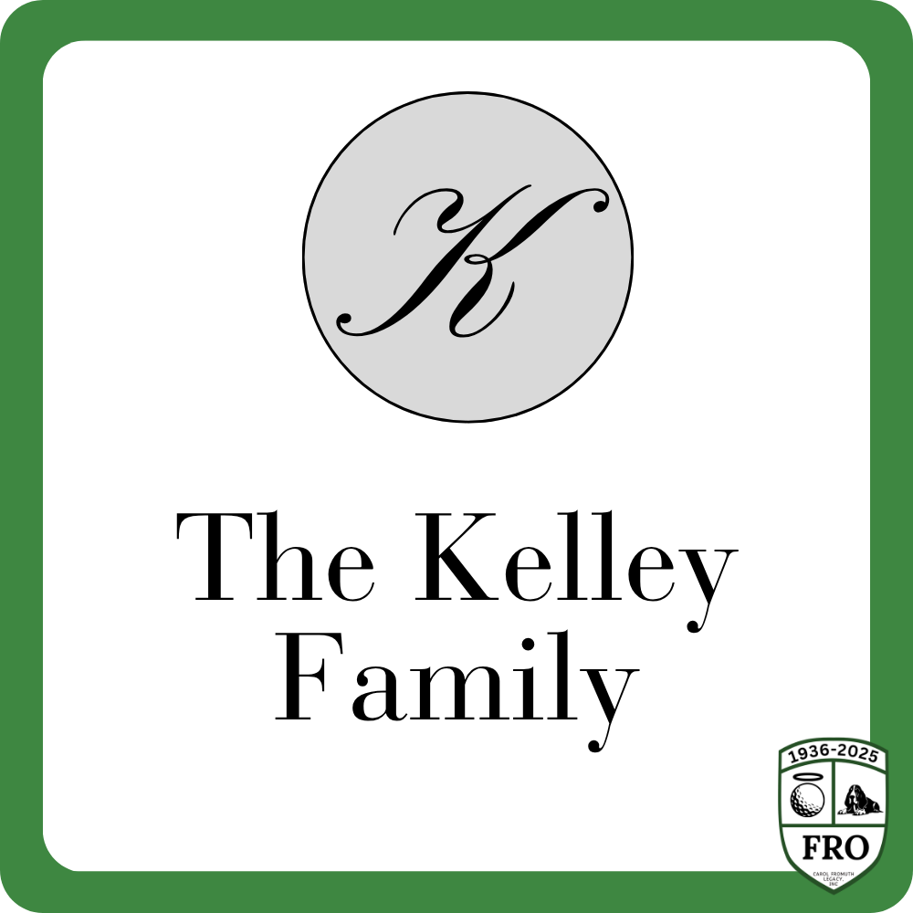 Sponsor logo