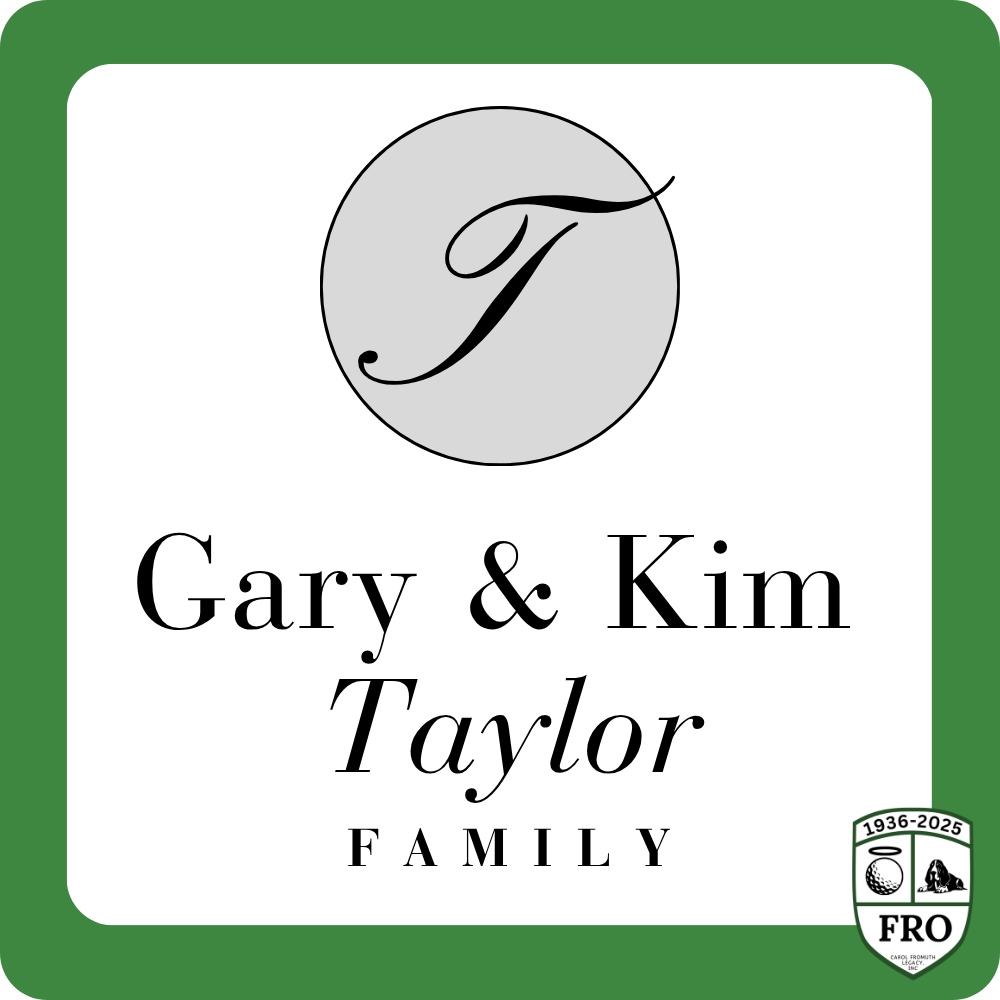 Sponsor logo