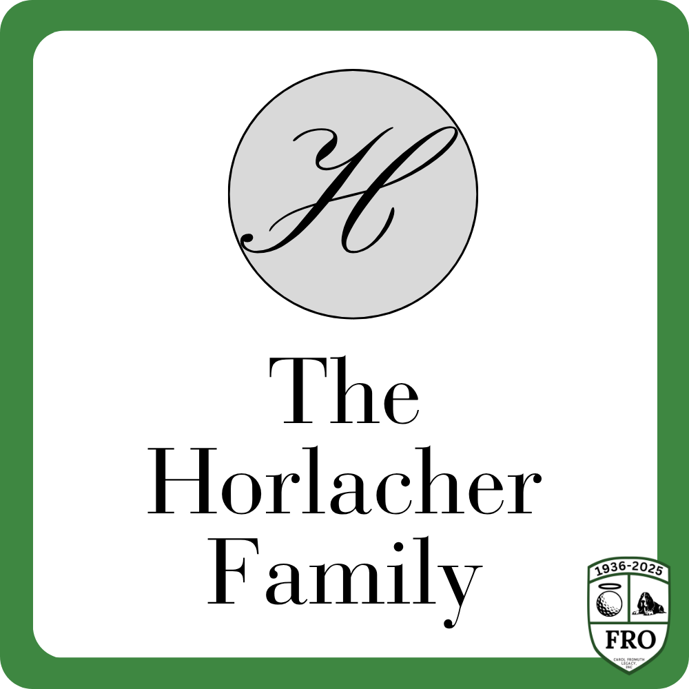 Sponsor logo
