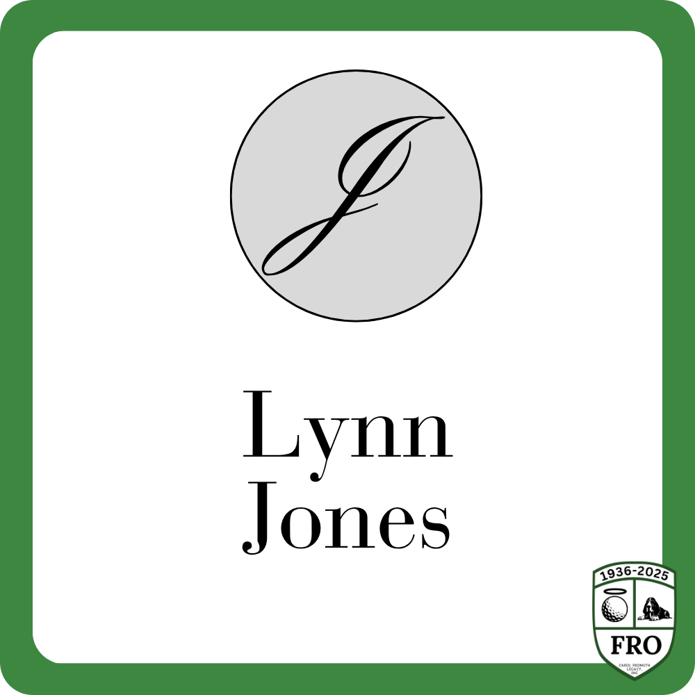 Sponsor logo