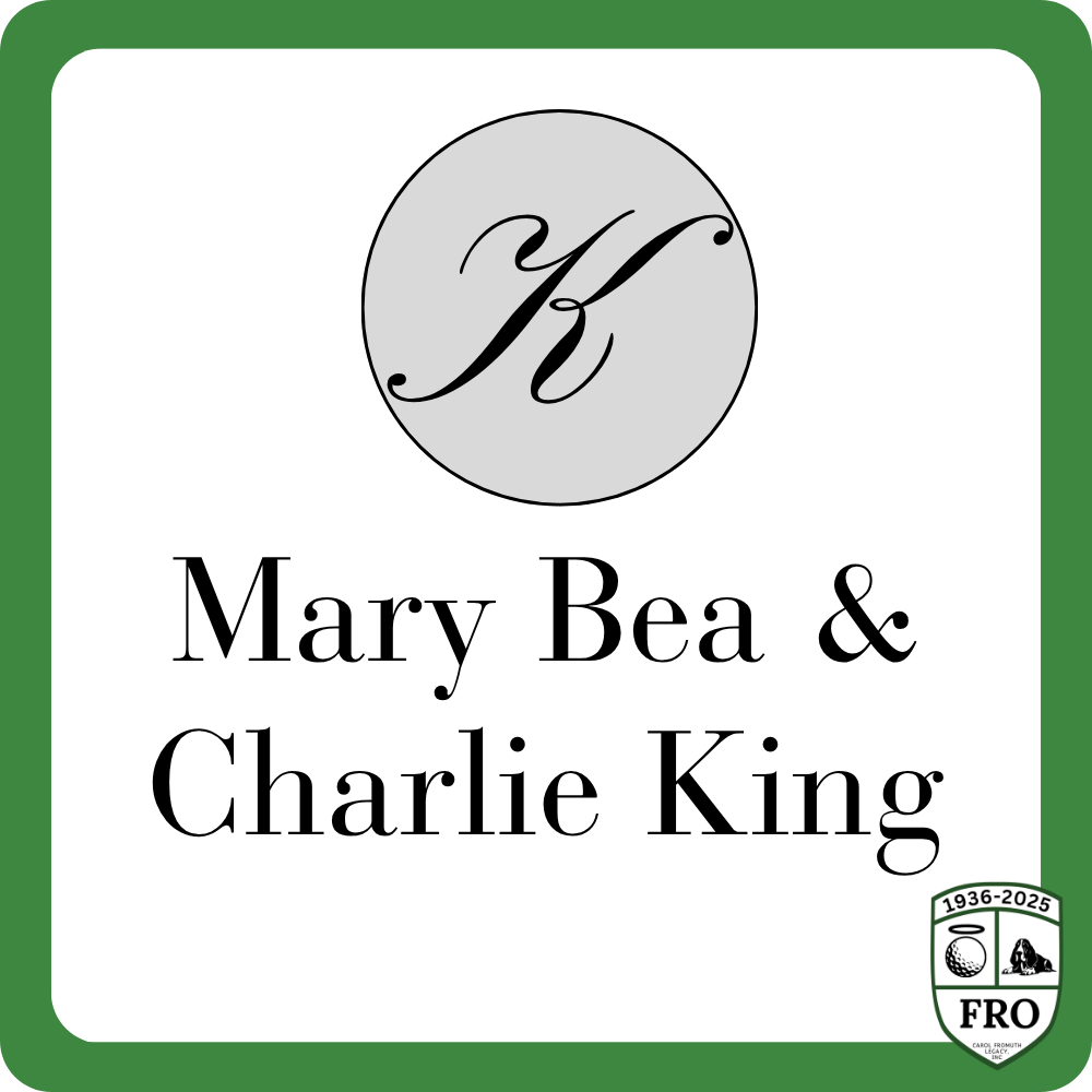 Sponsor logo