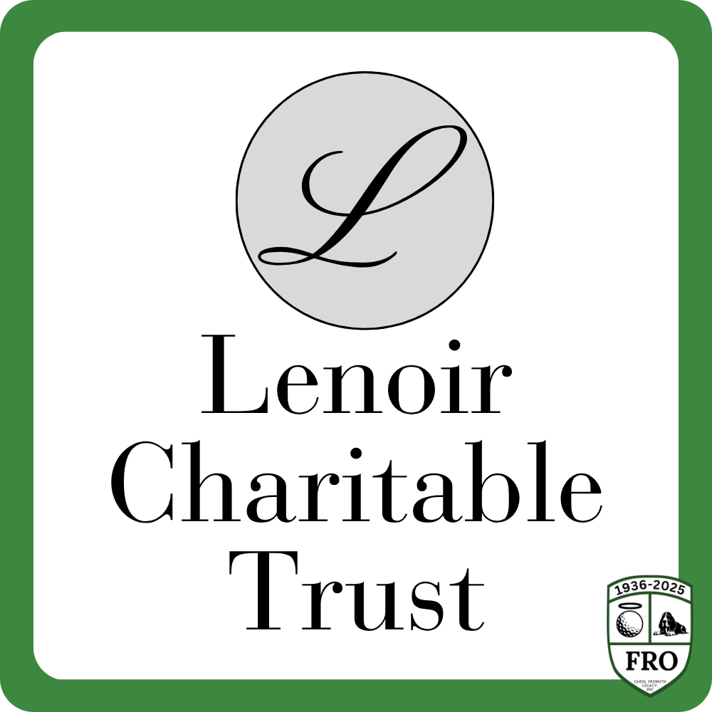 Sponsor logo