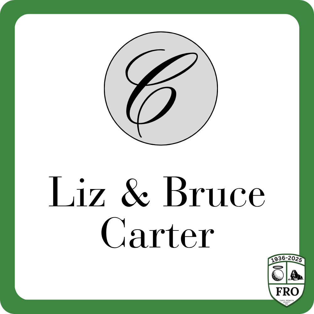 Sponsor logo