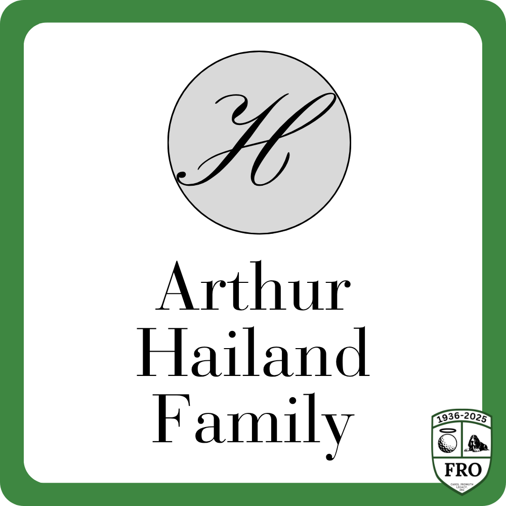 Sponsor logo
