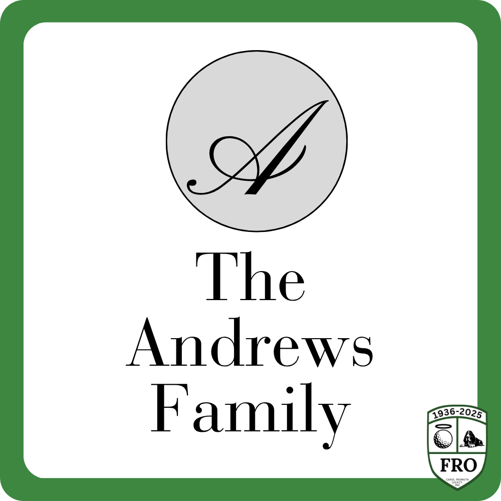 Sponsor logo