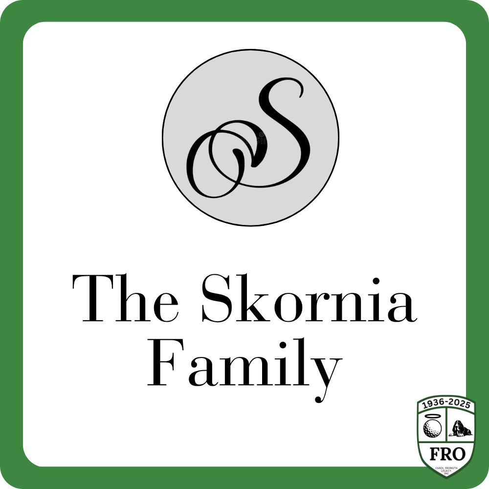 Sponsor logo