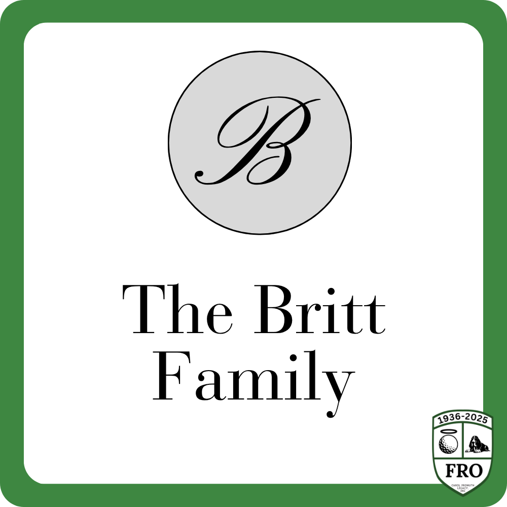 Sponsor logo