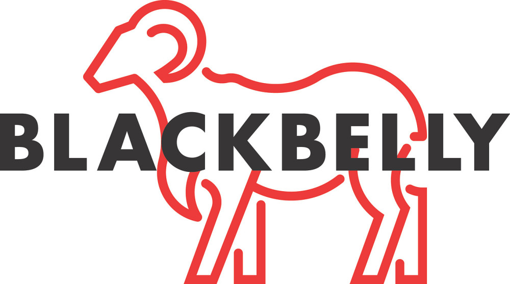 Sponsor logo