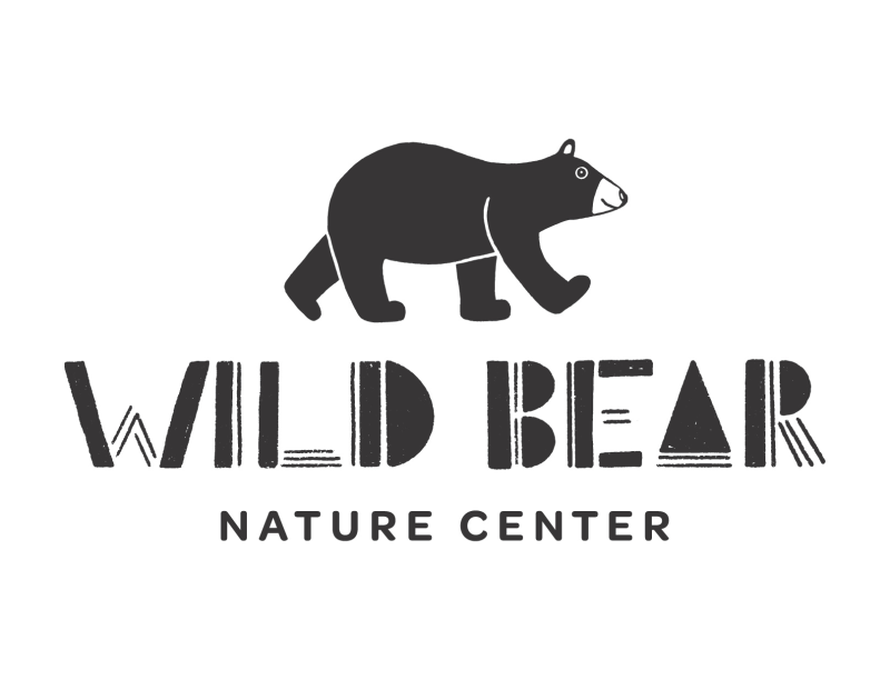 Wild Enchanted Evening 2026 logo