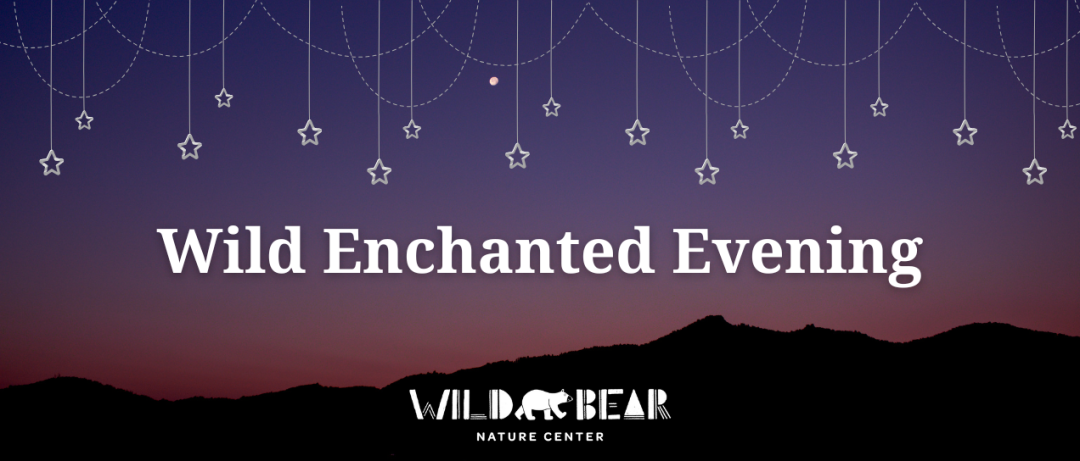 Wild Enchanted Evening 2026 banner