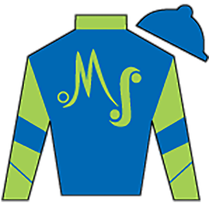 Sponsor logo
