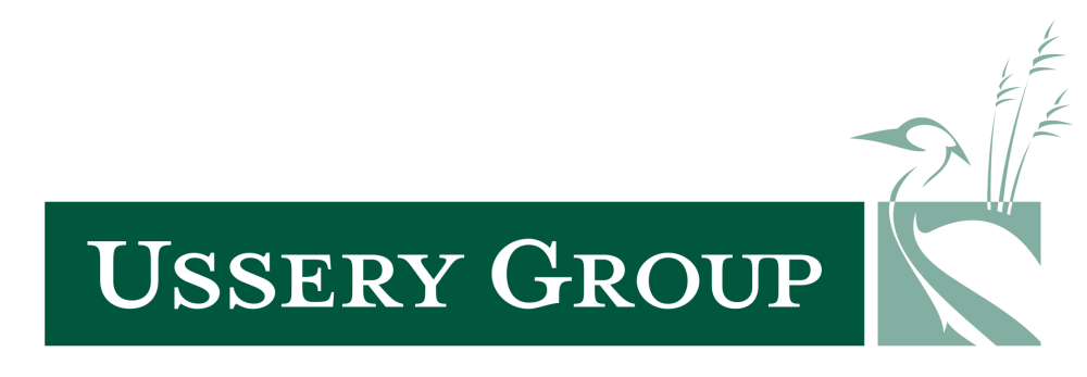 Sponsor logo