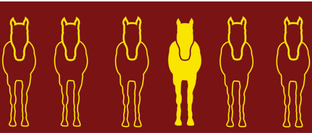 Annual Barn Gala 2026 banner