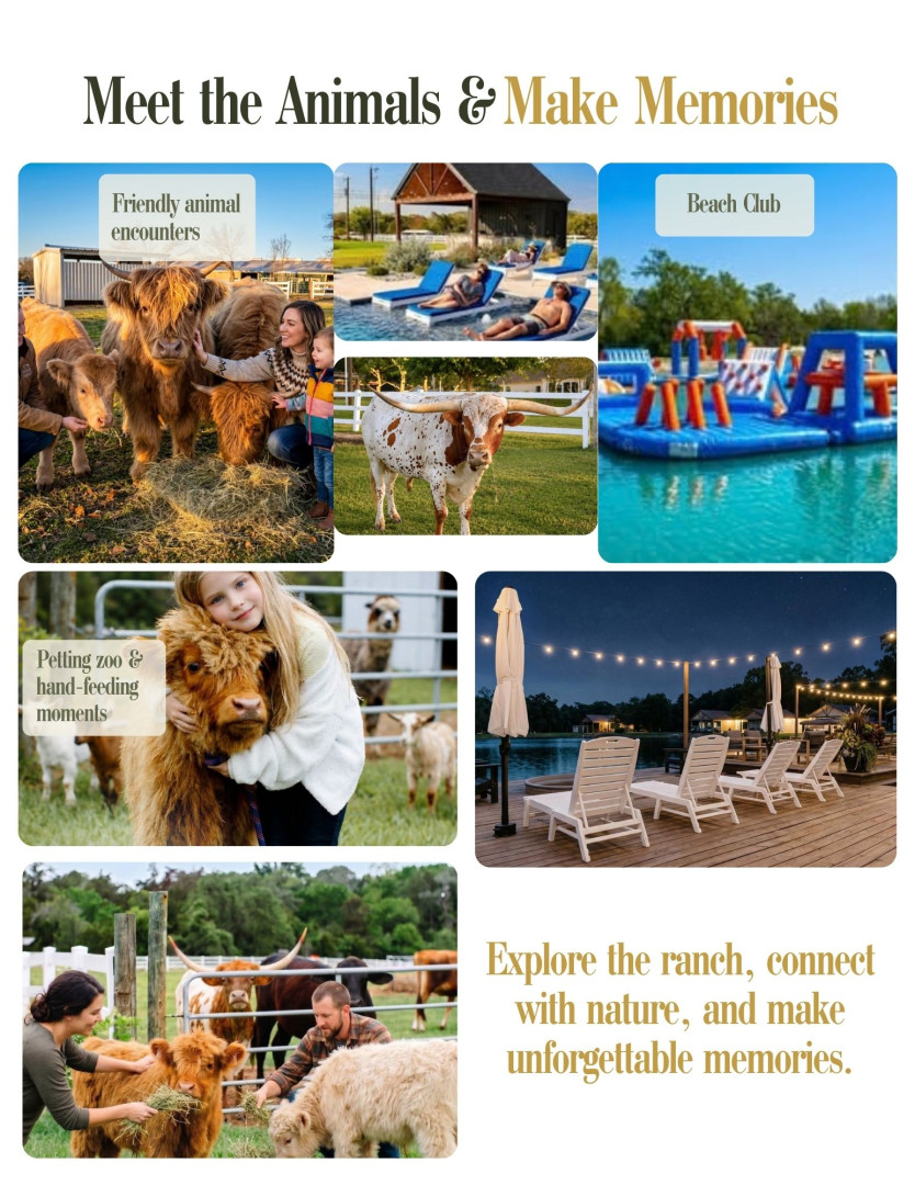 Content block image