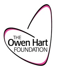 Sponsor logo